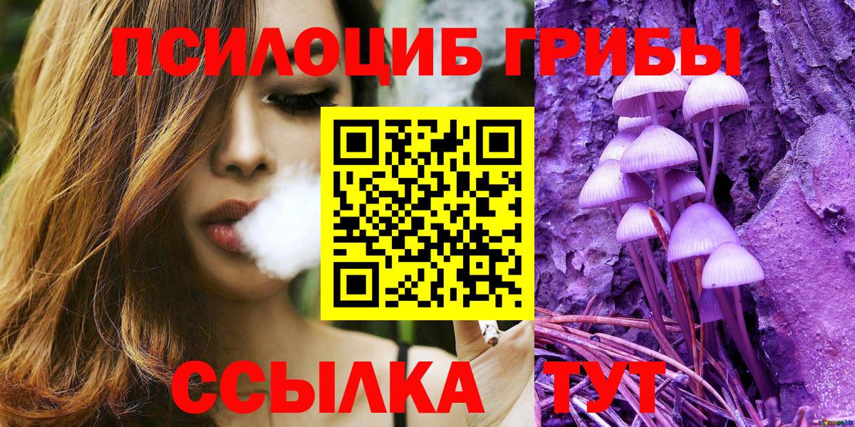 Псилоцибиновые грибы GOLDEN TEACHER Котлас